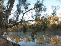 Early morning, Crossing Pool